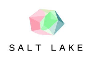 VSL Logo